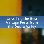 Unveiling the Best Vintage Ports from the Douro Valley