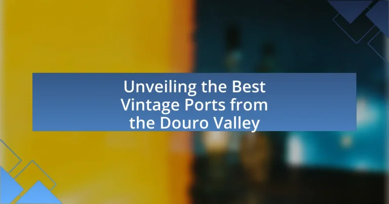 Unveiling the Best Vintage Ports from the Douro Valley