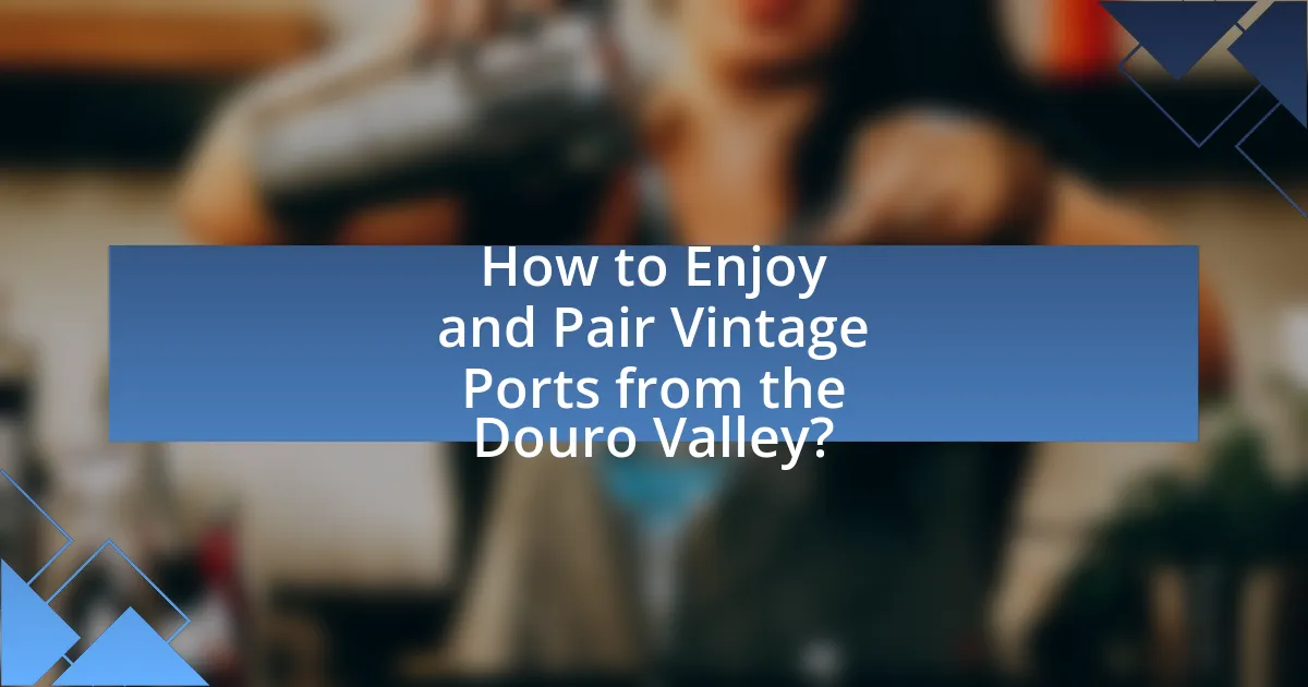 How to Enjoy and Pair Vintage Ports from the Douro Valley?