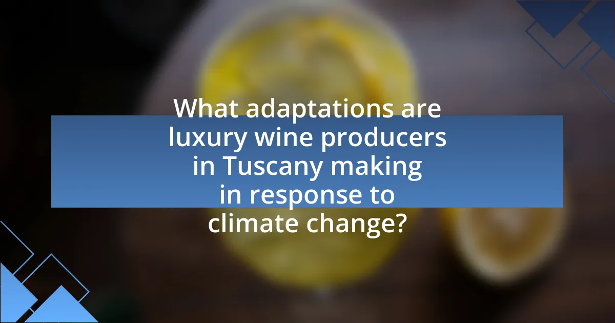 What adaptations are luxury wine producers in Tuscany making in response to climate change?