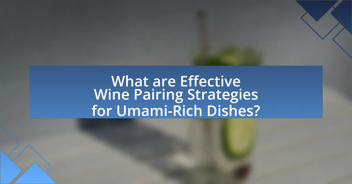 What are Effective Wine Pairing Strategies for Umami-Rich Dishes?