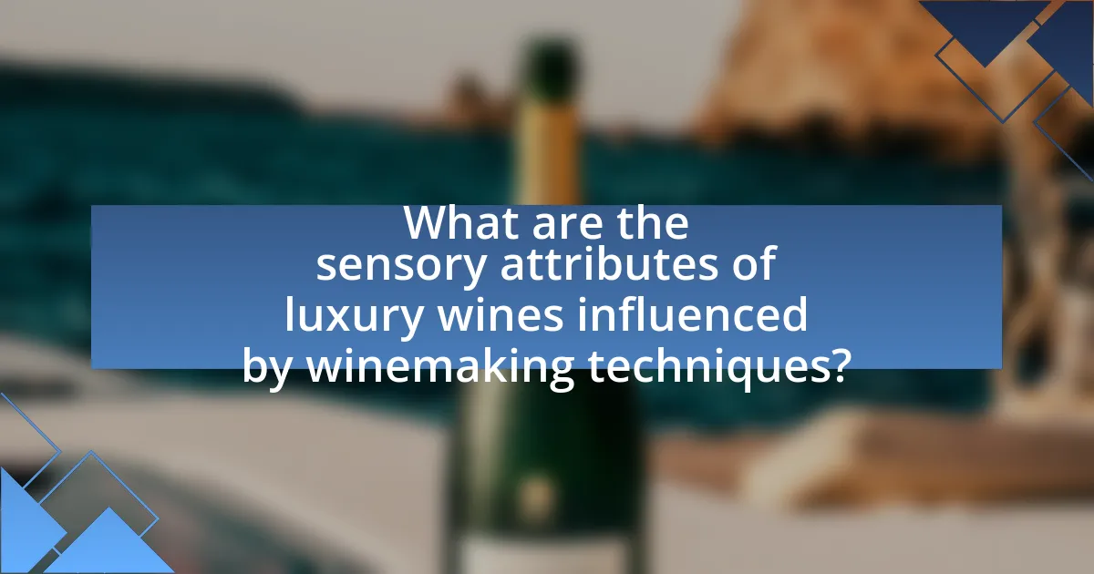 What are the sensory attributes of luxury wines influenced by winemaking techniques?